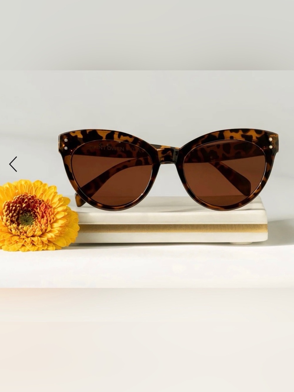 Saint Owen WYLDE Tortoise Shell Sunglasses